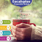 Natural Eucalyptus Herb Leaves, Whole Eucalyptus Leaves, 56G (2.0 Oz)