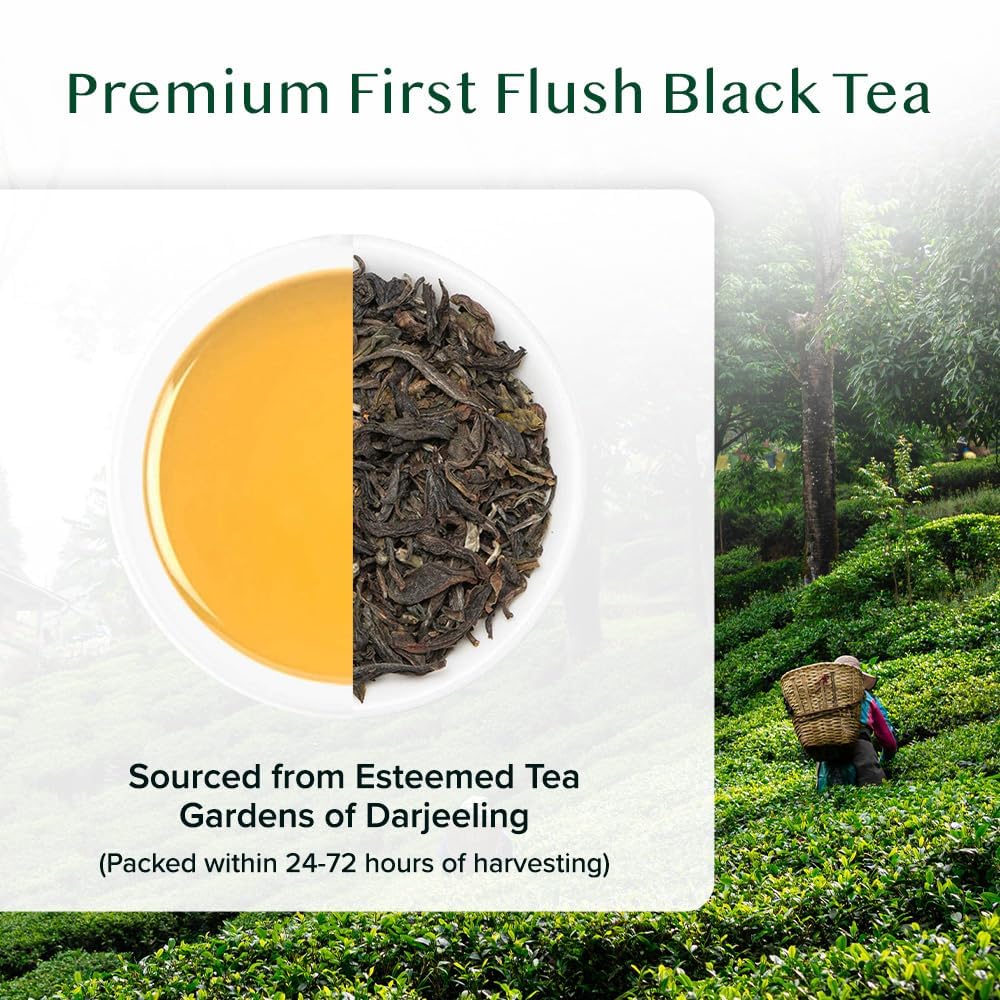 Vahdam, First Flush Darjeeling Tea - 170+ Cups (340G/12Oz) Loose Leaf Black Tea - Flowery, Aromatic & Delicious | Mellow & Fragr