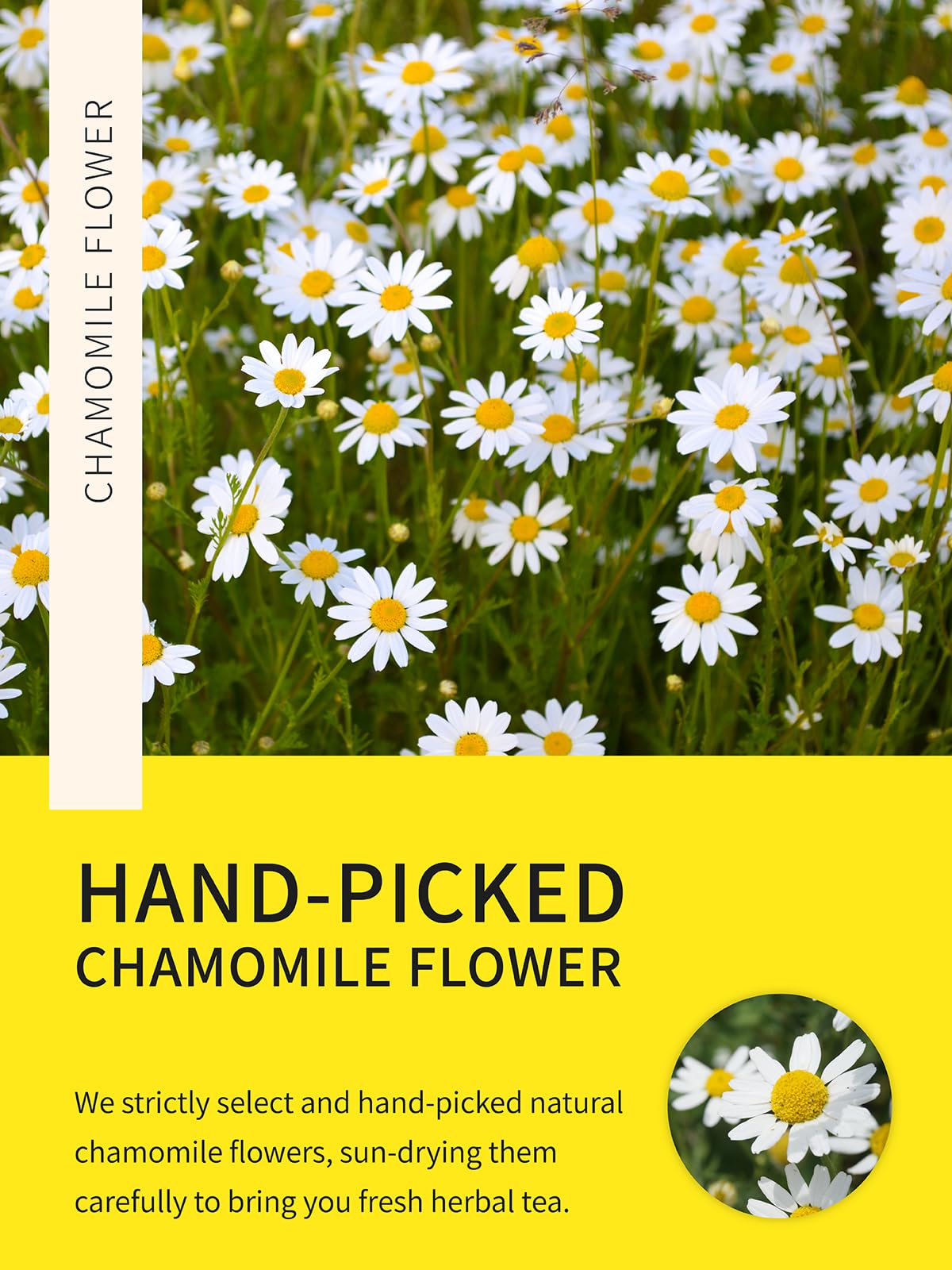 TeeLux Chamomile Tea Bags - Pure Natural Herbal Tea, Caffeine Free, 100 Count