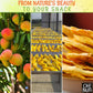 Dried Mango | 12 Oz - Dried Fruit Slices | Less Sugar Added | Dehydrated Fruit Bites | Packed In New York Zip-Seal Bag For Exceptional Freshness By Oh Nuts