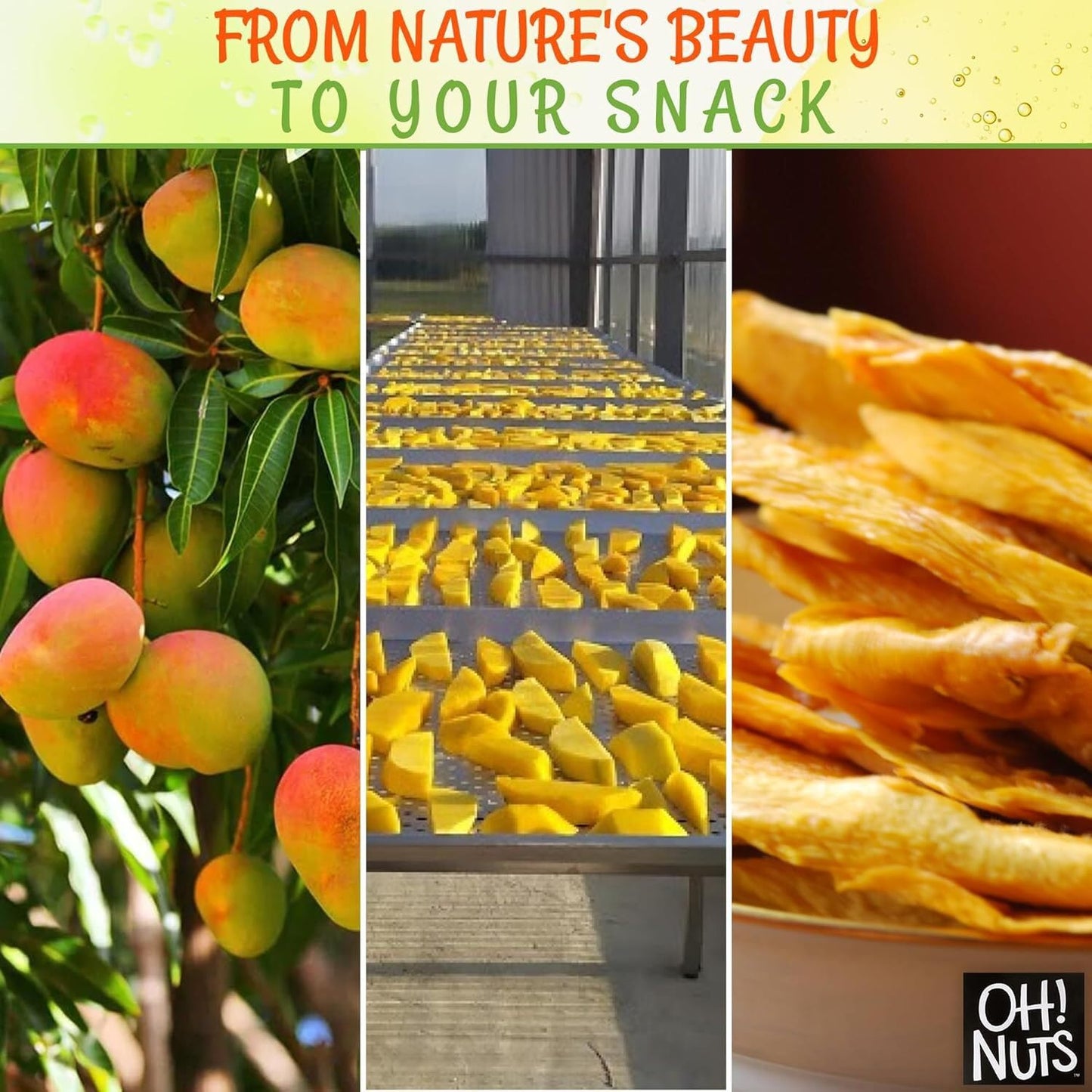 Dried Mango | 12 Oz - Dried Fruit Slices | Less Sugar Added | Dehydrated Fruit Bites | Packed In New York Zip-Seal Bag For Exceptional Freshness By Oh Nuts