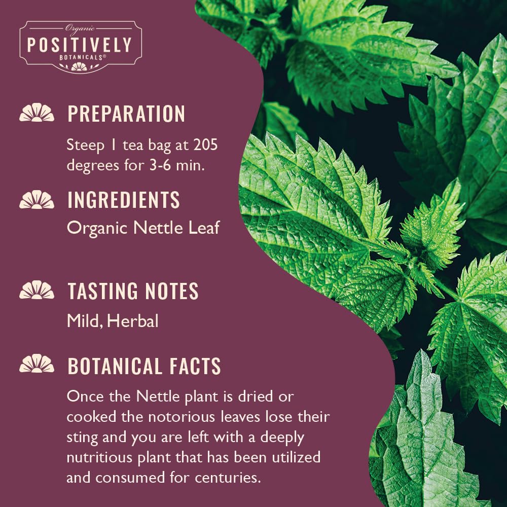 Organic Positively Botanicals Company, Nettle Leaf Herbal Tea Bags, 20 Count
