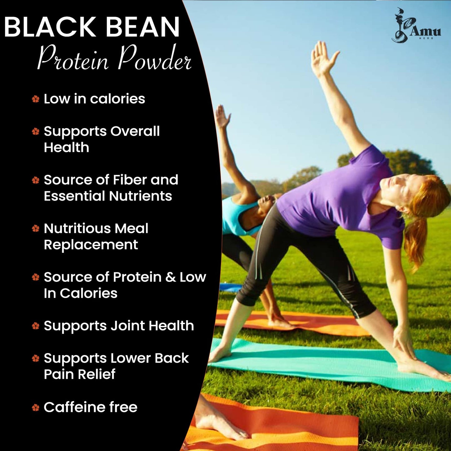 AMU NUTRITION Mongolian Roasted Black Beans Powder, 198g, Superfood Tea, Natural Flavor