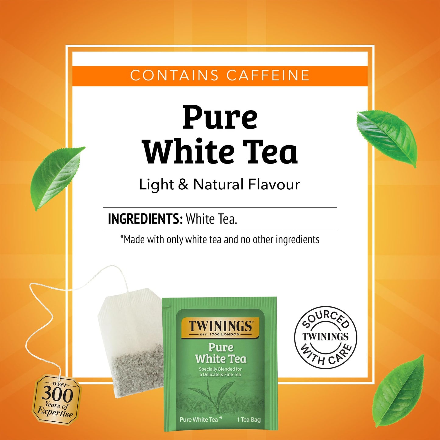 Twinings Pure White Tea Individually Wrapped Bags, 20 Count (Pack of 6), Light & Fresh, Caffeinated, Enjoy Hot or Iced, 120 Teab