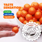 Gumballs In Jar - 1 Inch Large Gumballs - Orange Bubble Gum Gumballs - Kids Chewing Gum - Gumballs For Kids 9 Oz