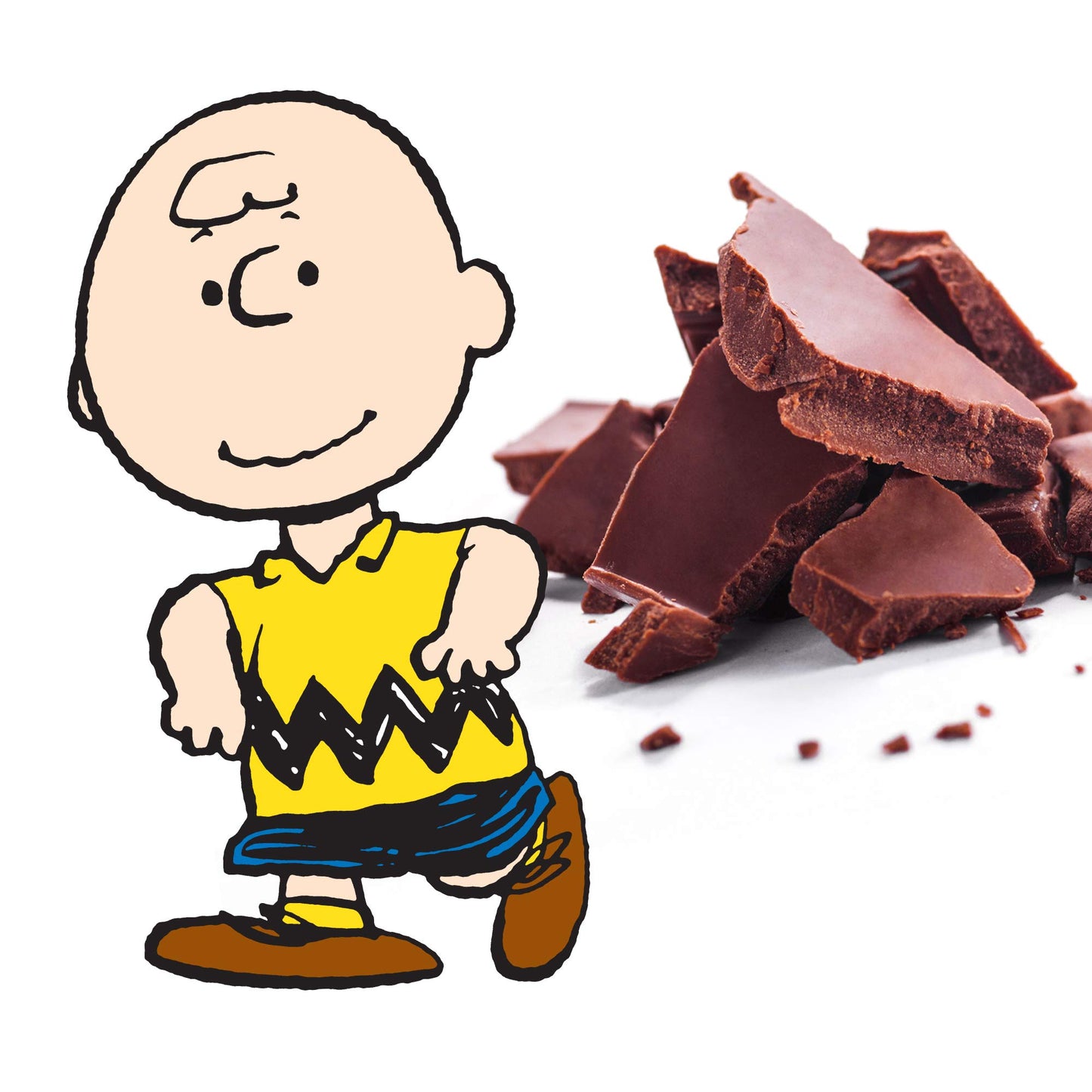Peanuts Thanksgiving Candy Individually Wrapped Chocolate Variety Gift Box  Snoopy Gourmet Bar Snack Set  Gifts for mature-themeds and Kids  Rich Belgian Chocolate Give Thanks Consumable Gift  Kosher 1.75oz 5-Bars.