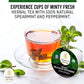 Organic Peppermint Tea Pods For Keurig - Decaf Tea By Teavity (12 Tea Pods)