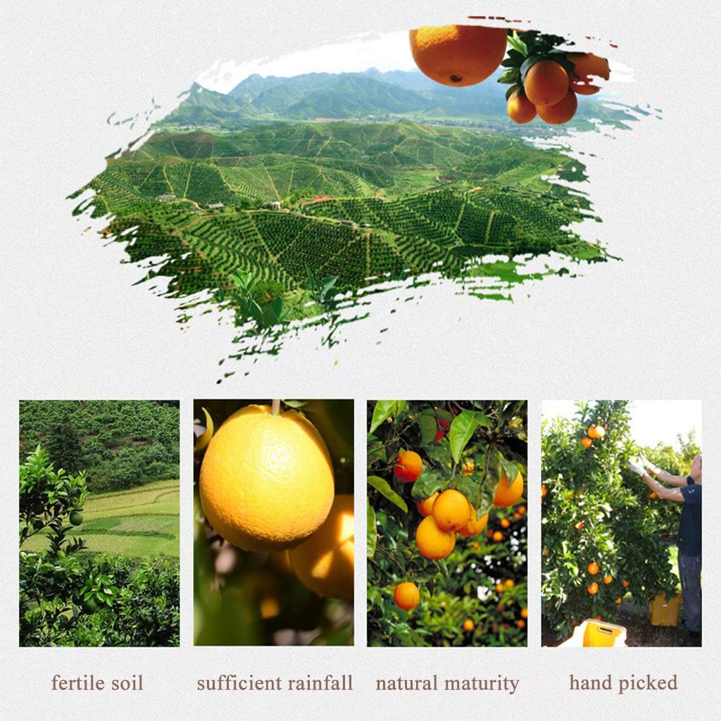 SXET Dried Orange Slices, Natural Dehydrated Fruit for Crafts and Decorations, 500g