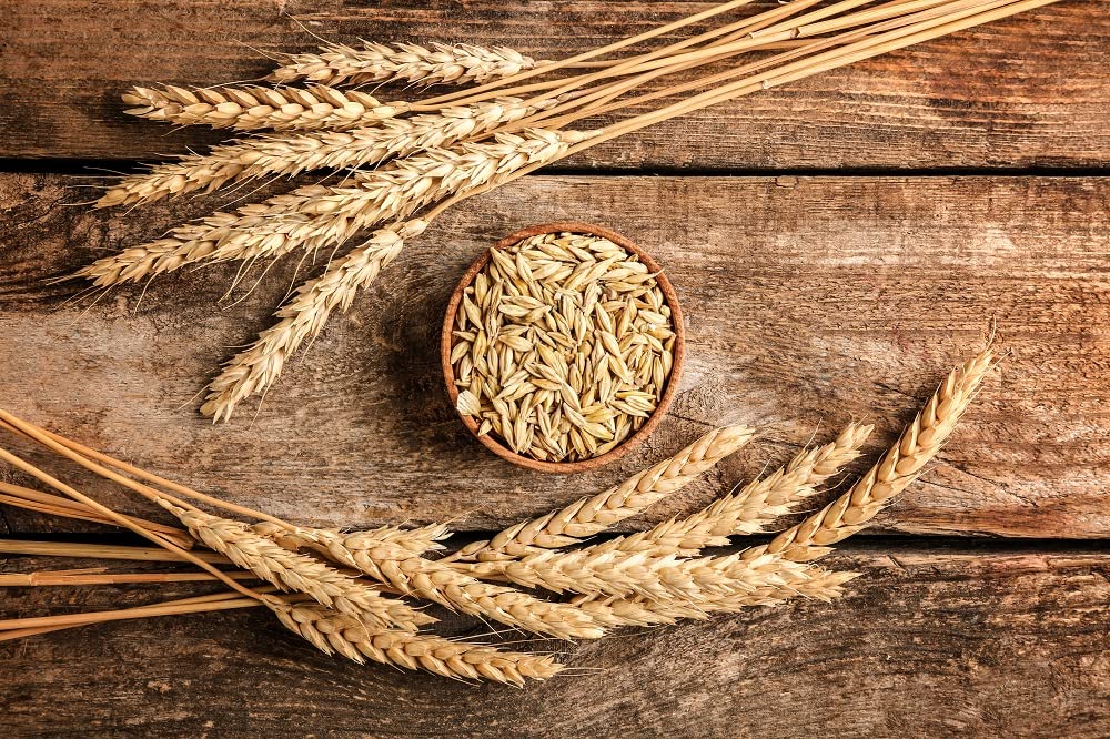 Sanniti Traditional Barley Malt Syrup, 20 oz