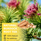 TeeLux Burdock Root Tea, Cut & Sifted, Caffeine Free, 16oz Loose Leaf Herbal Tea