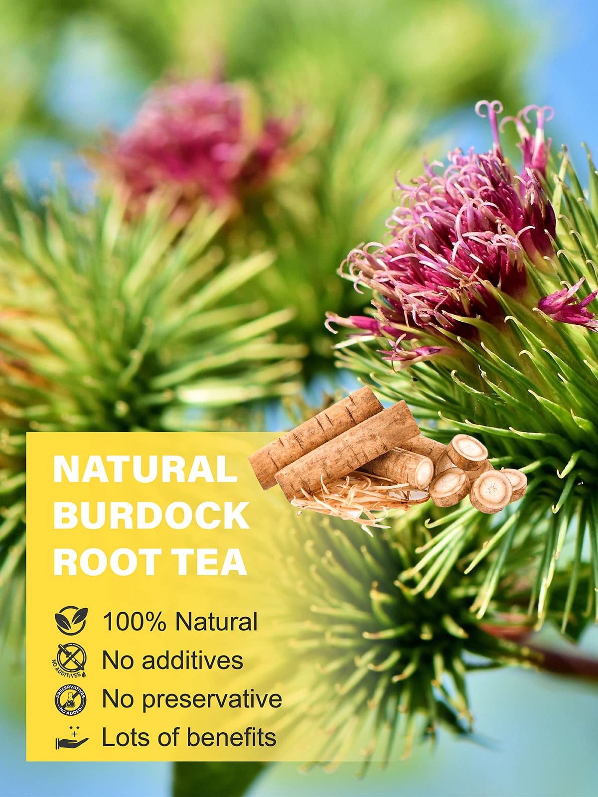 TeeLux Burdock Root Tea, Cut & Sifted, Caffeine Free, 7oz Loose Leaf Herbal Tea