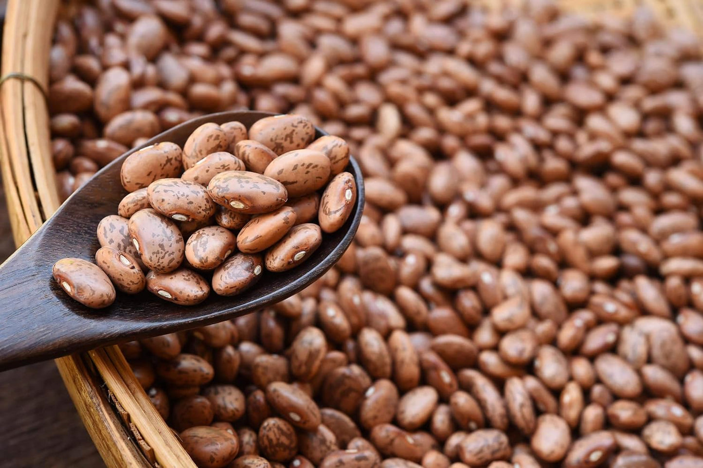 Food To Live Organic Pinto Beans, 25 Pounds, Non-Gmo, Frijioles Pintos, Whole Dried Beans, Sproutable, Vegan, Kosher, High In Ir