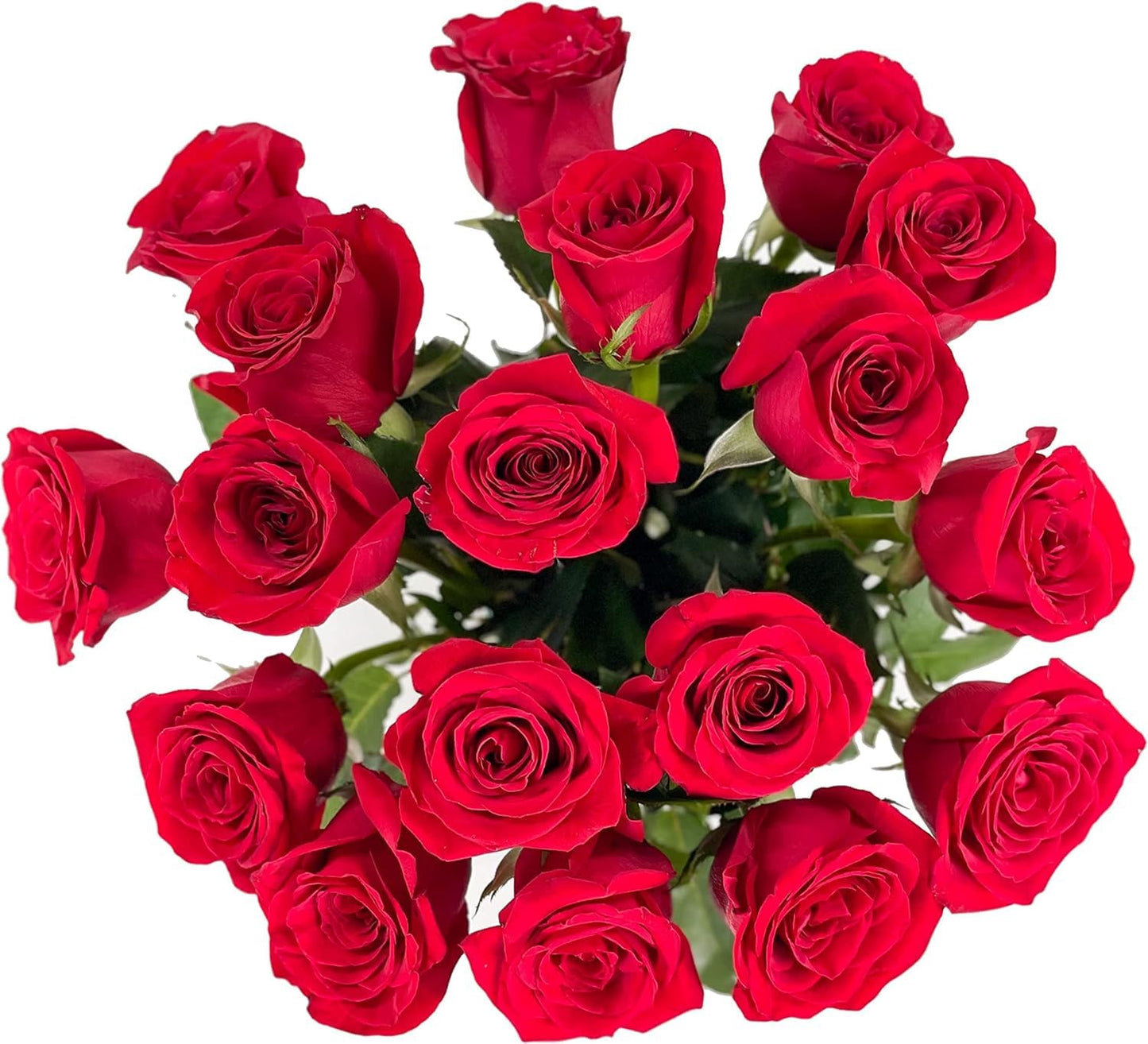 18 Red Roses with Vase | Arabella Bouquets | Real Fresh Flowers for Delivery  Gift for Birthday Women  Congratulations  Anniversary  Thank You  Mothers Day