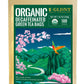 GLDNT Organic Decaf Green Tea Bags  Organic Green Tea Decaffeinated  Smooth Flavor  Super Antioxidant  Iced & Hot Tea  100 Count