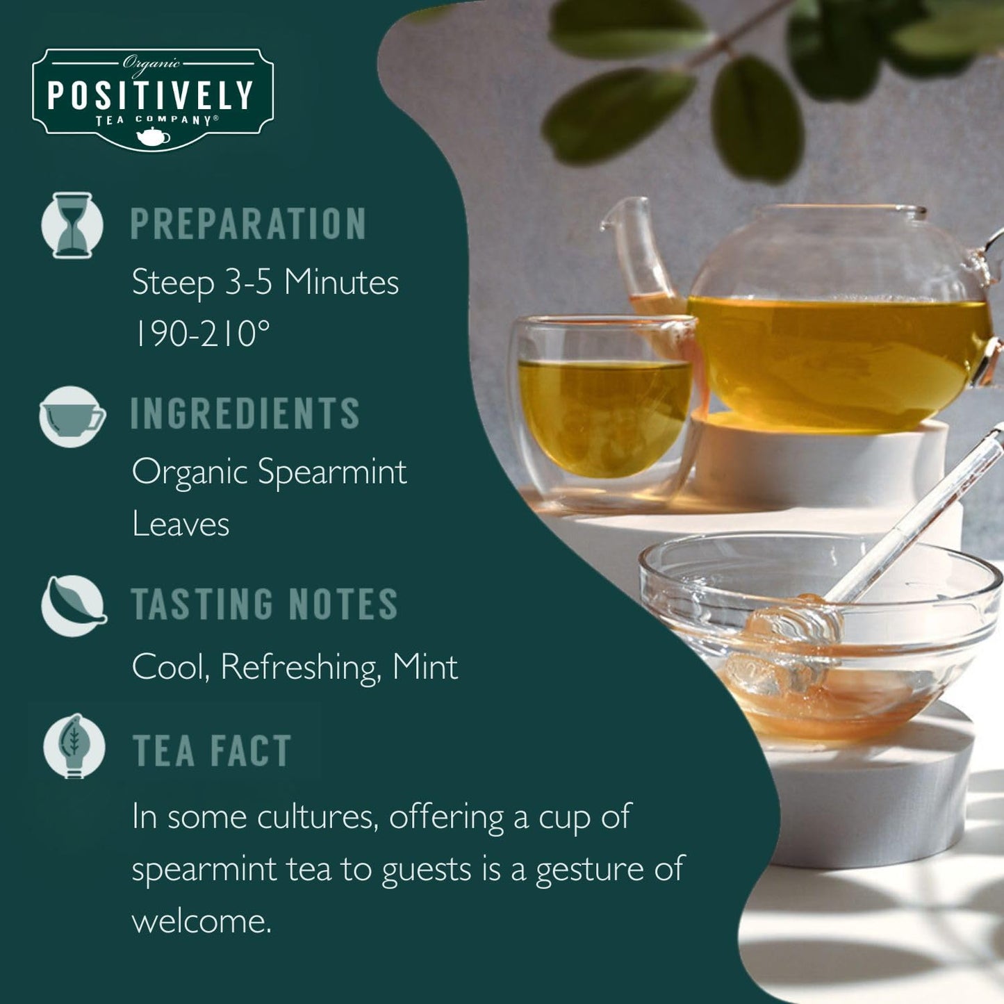 Organic Positively Tea Company Spearmint Leaf Herbal Tea Bags, Eco-Friendly, Non-GMO, 100 Count