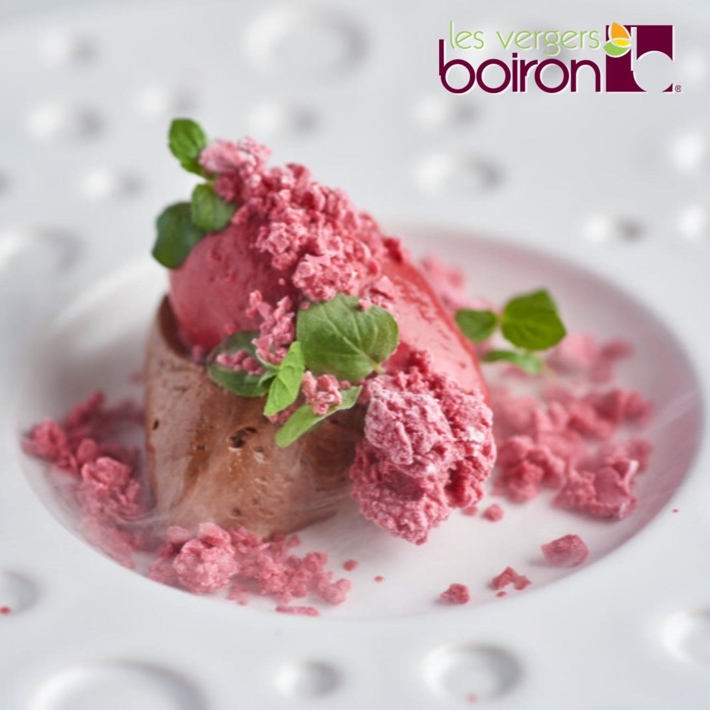Les Vergers Boiron Raspberry Puree, 100% Fruit, No Added Sugar, Vegan, 1 Liter