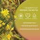 Worldwide Botanicals Organic Red Rooibos Tea Loose Leaf - 8oz Resealable Bag - 100% South African Aspalathus linearis