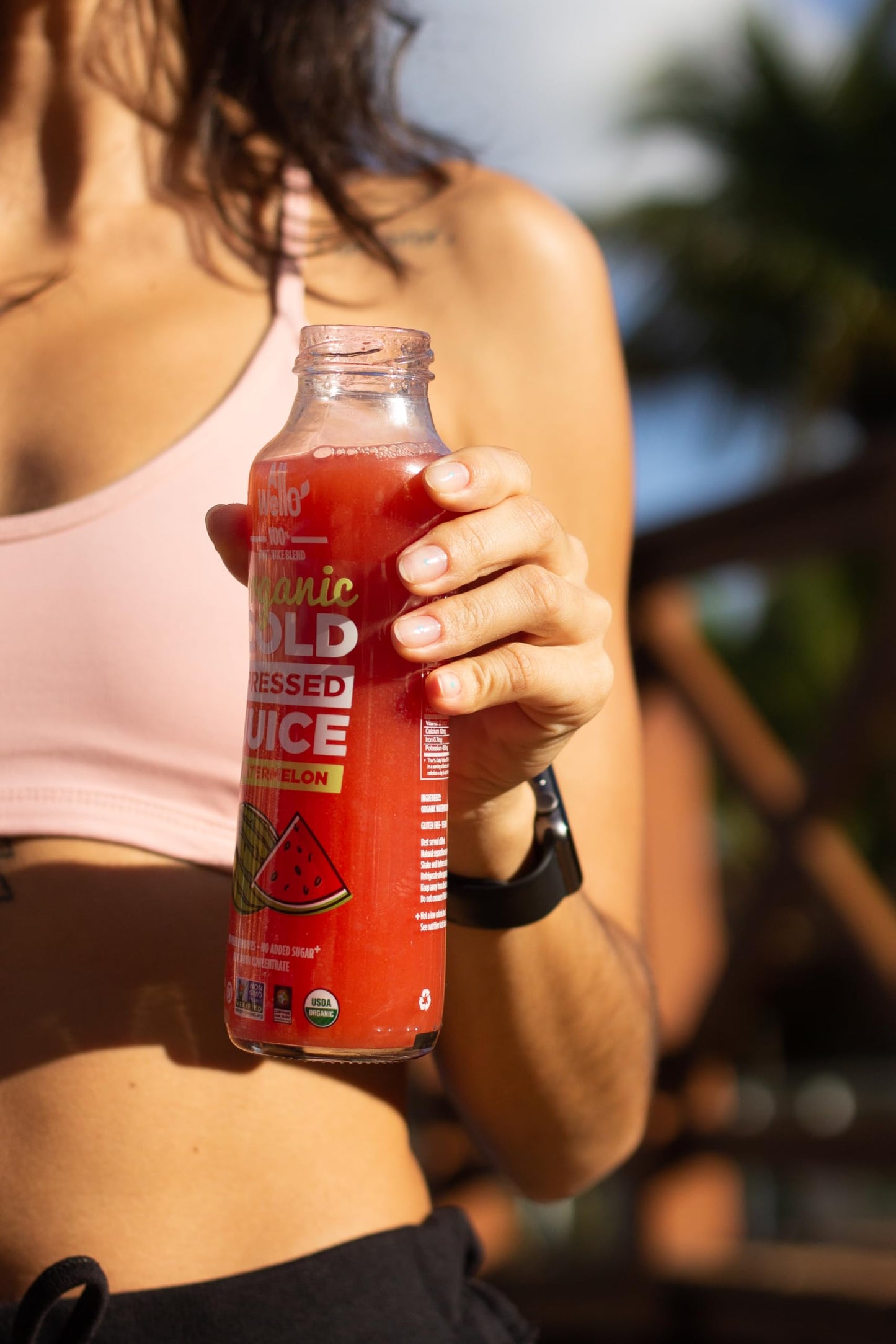 AllWellO Organic Cold Pressed Juice Drinks with Real Fruits and Vegetables Gluten Free Non-GMO Healthy Juices No Preservatives No Sugar Added (Watermelon  6 Pack)