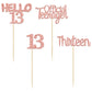 Gyufise 24 Pack Glitter 13Th Birthday Cupcake Toppers Hello 13 Thirteen Cake Toppers Official Teenager Cupcake Picks 13Th Birthd