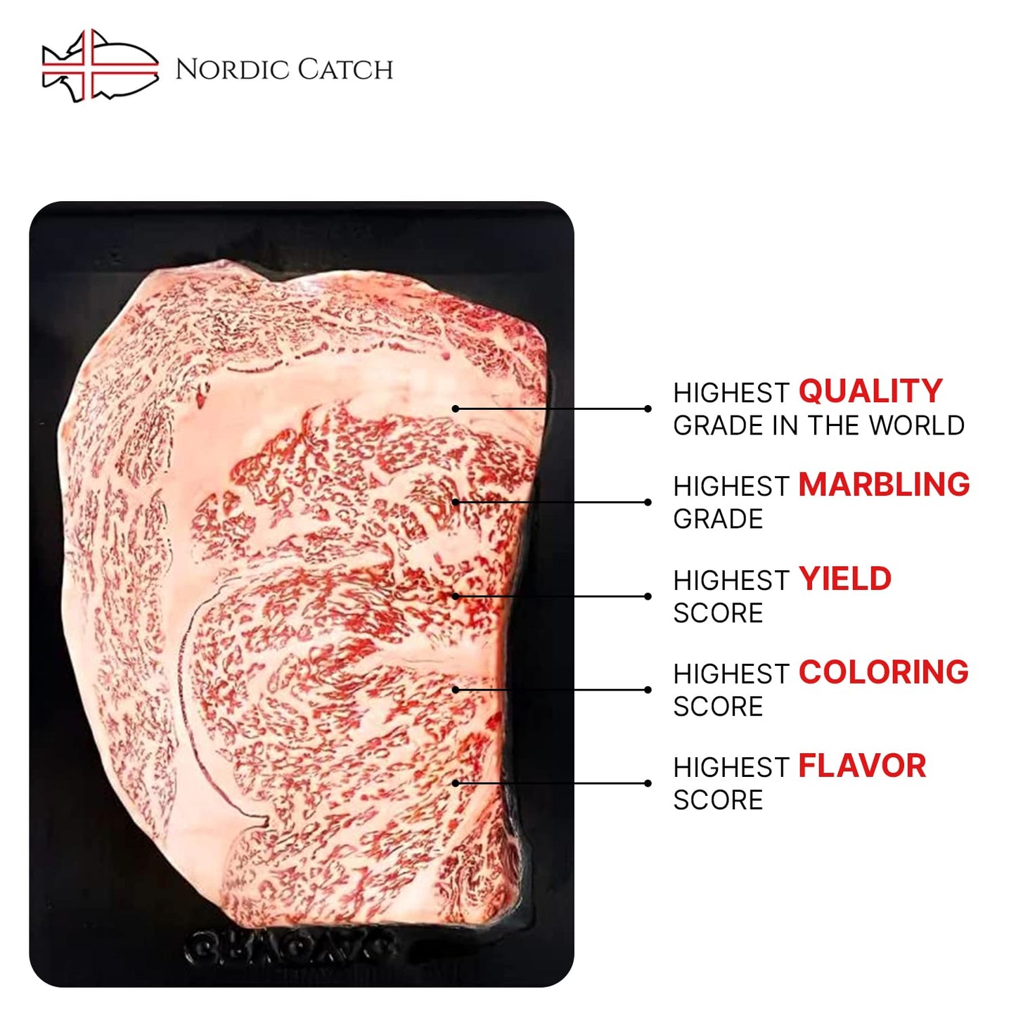 Nordic Catch - Grade A5 Japanese Wagyu Beef, Ribeye Steak Without Bone, Always Fresh Thick Cut, 1 Pound Skin-Packed 100% Authent