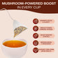 Organic Mushroom Tea with Ashwagandha, Lions Mane & Chaga for Focus, Memory & Mental Clarity - Brain Boost Tea with Ginkgo Bilob
