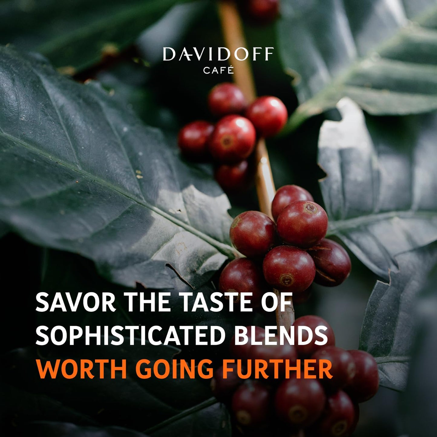 Davidoff Espresso 57 Ground Coffee - Pack Of 4-10/12 Intensity - 250 G X 4