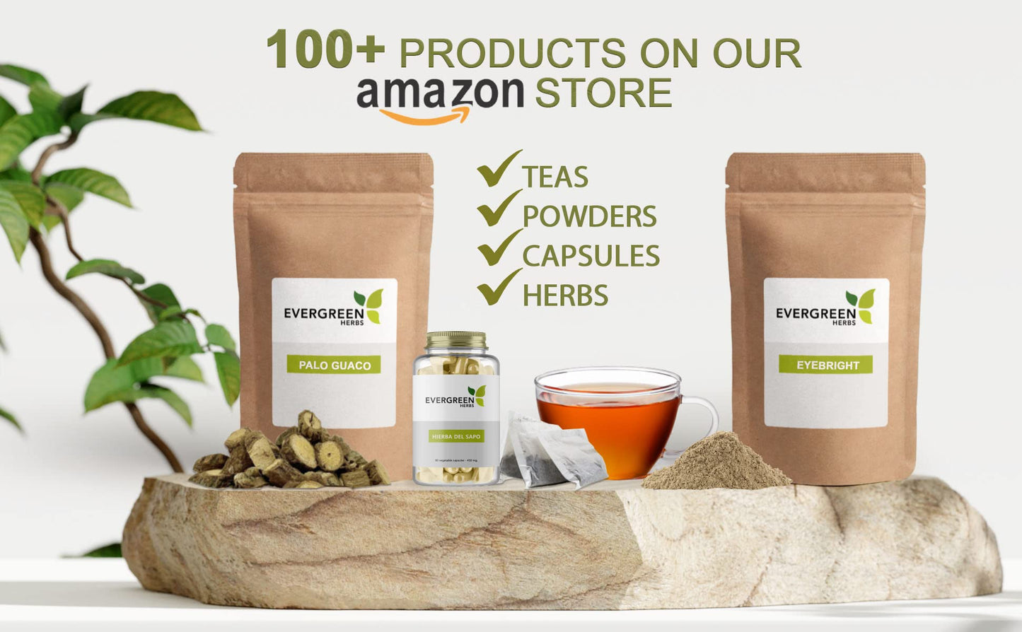 Evergreen Herbs Muicle Tea Bags - Resealable Stand Up Pouch for Freshness