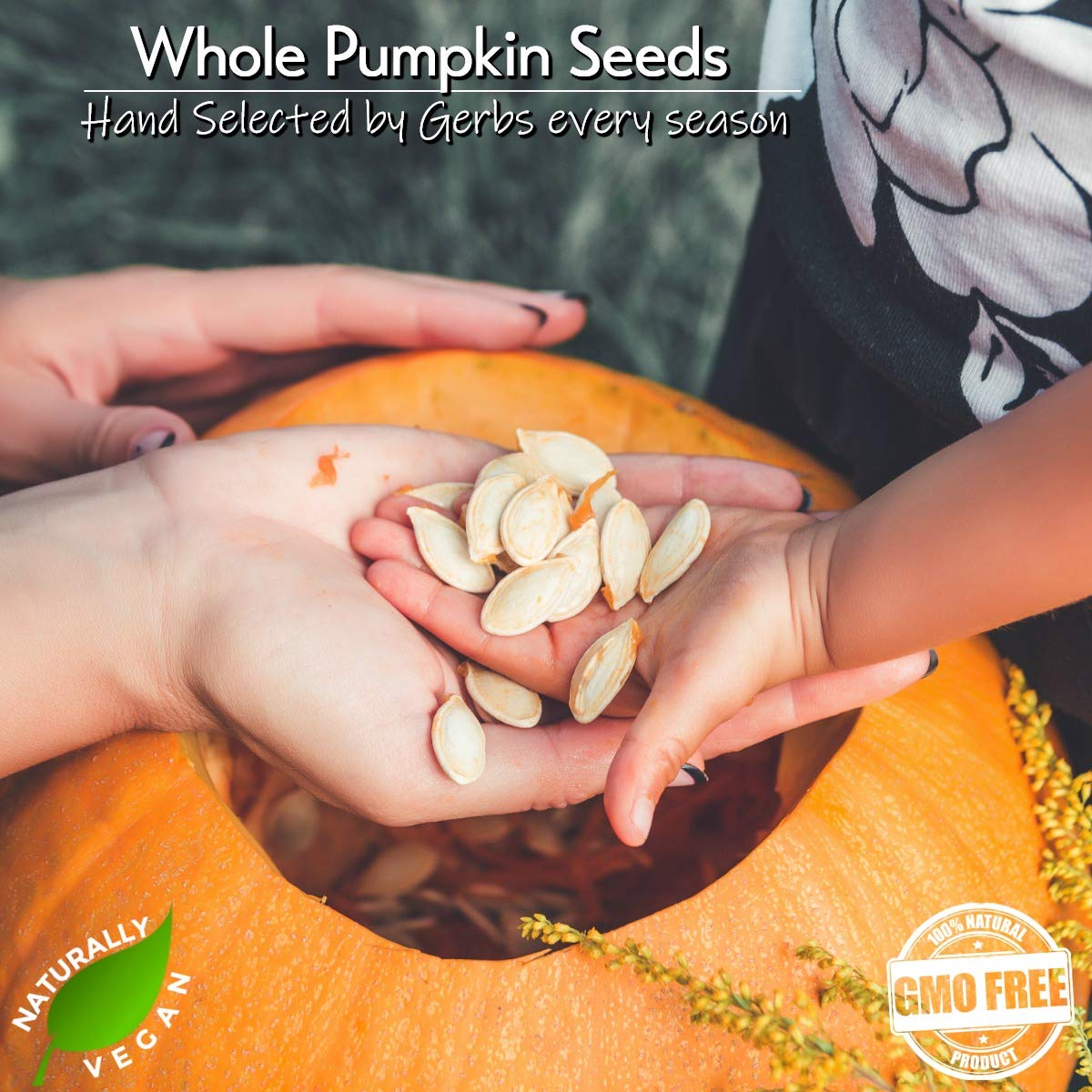 GERBS Raw Whole Pumpkin Seed 2 LBS, Top 14 Allergy Free, Healthy protein packed Superfood Snack, Non GMO, Grown USA & Packaged o