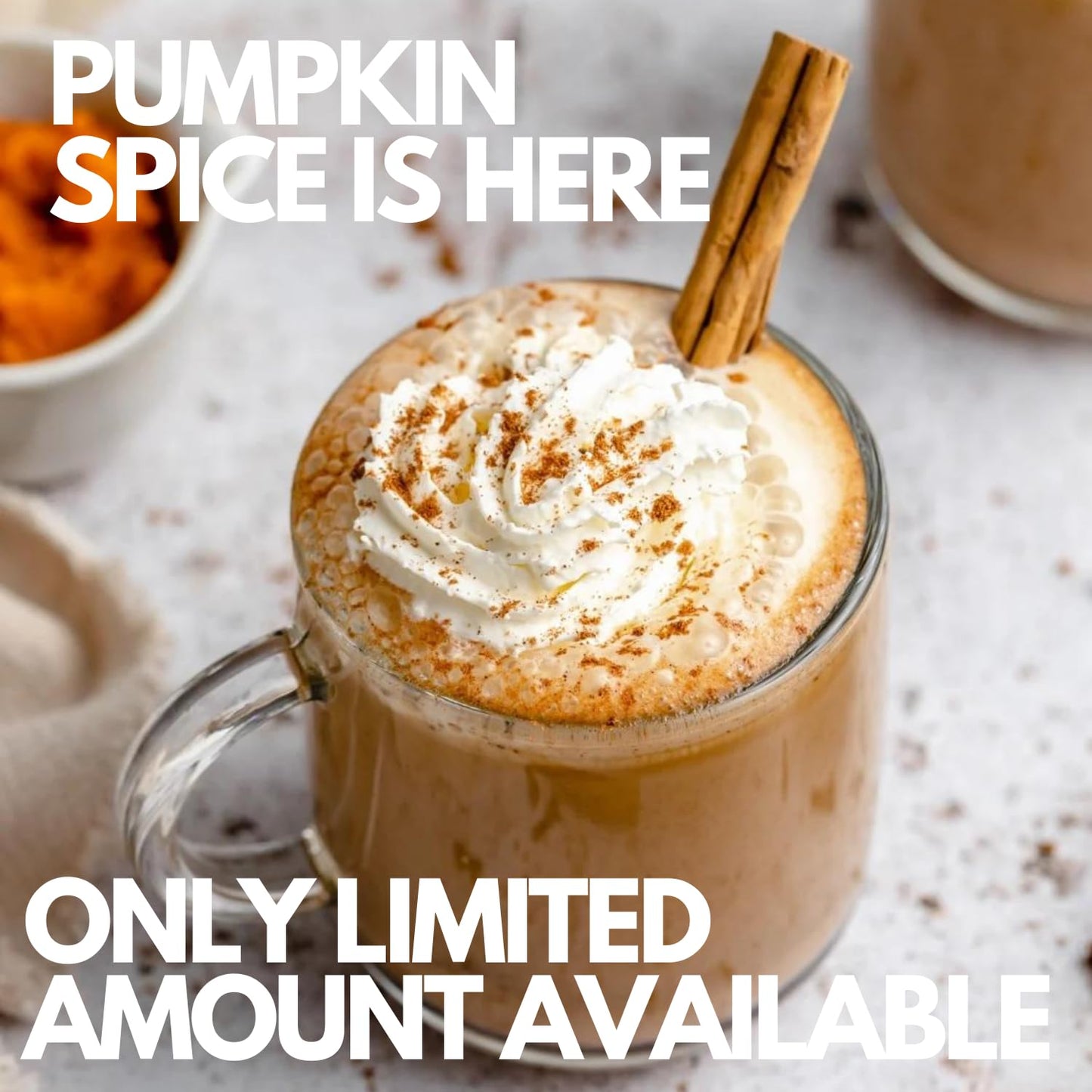 SARASOTA COFFEE & TEA CO. Gourmet Medium Roast Coffee Packets, Pumpkin Spice, 2 Ounce Bags, 36 Count, Low Acid, Mold Free