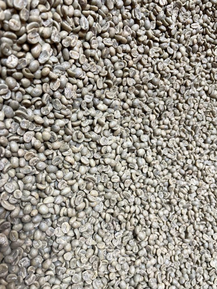 Smokin Beans 5-Pound Unroasted Green Arabica Coffee Beans, Specialty Grade, 80 Ounce