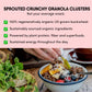 Lil Bucks Clusterbucks Superfood Clusters - Grain-Free Keto Granola, Gluten-Free, Organic, 6 Ounce (Pack of 6), Variety #1