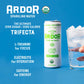 ARDOR ENERGY Sparkling Water, Tropical Variety, 12 Pack, 12 Ounce, Vegan, Gluten Free, 100mg Organic Caffeine, 200mg L-Theanine