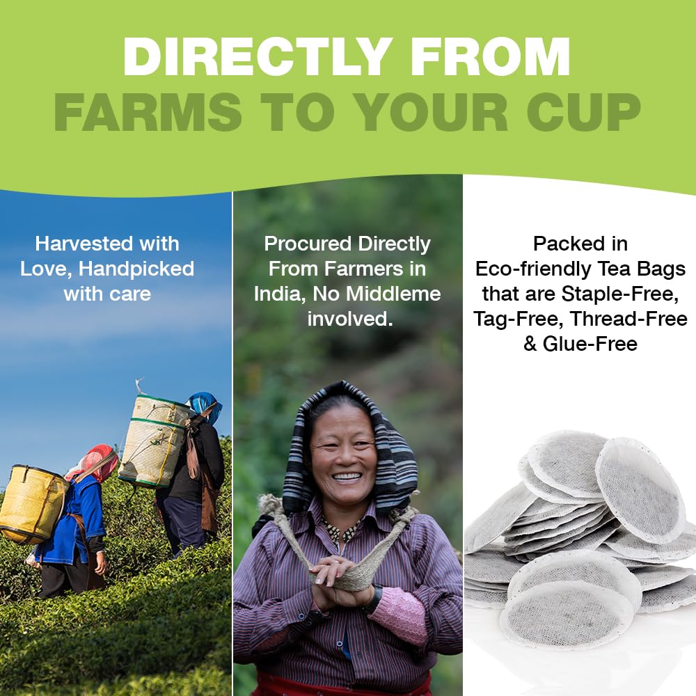 HANDPICK Organic Green Tea Bags - 100 Count - Eco-friendly Resealable Bag - Direct from India