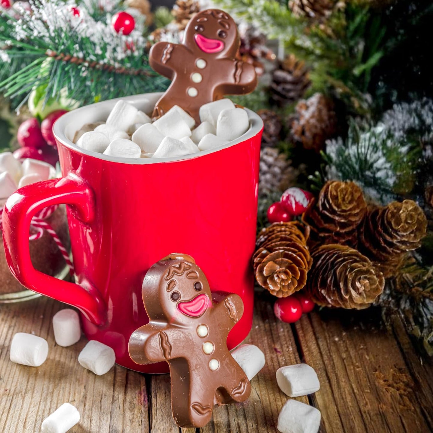 Freeze Dried Marshmallows Mini Individual 24 Fun Size Packs - Hot Chocolate Marshmallows Candy For Christmas Toppings, Hot Cocoa