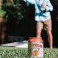 Waterloo Sparkling Water, Peach Naturally Flavored, 12 Fl Oz Cans (Pack of 12) - Zero Calories and Zero Sugar or Sweeteners