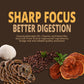 Mushroom Coffee K Cup - Focus & Gut-Health With 14-Mushrooms, Vitamins, L-Theanine And Alpha Gpc, Single Serve Pods - No Crash O