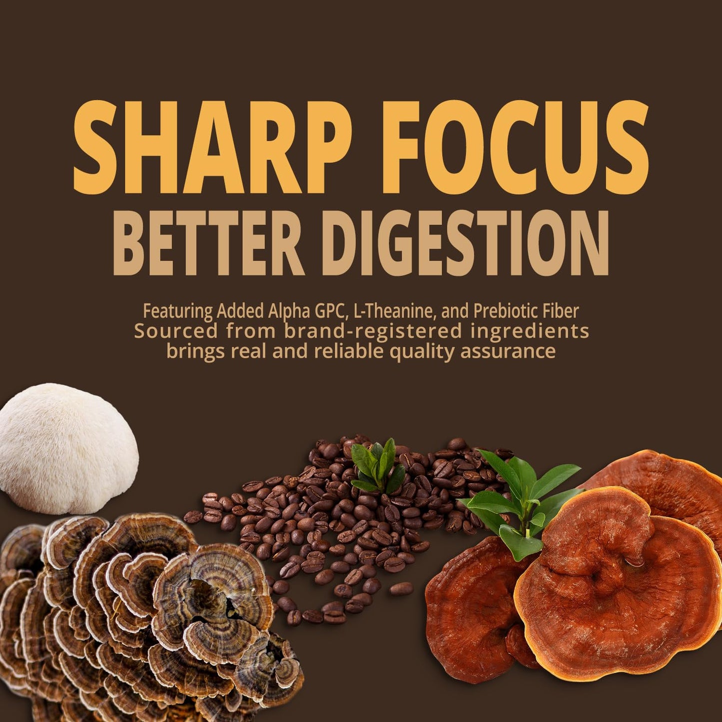 Mushroom Coffee K Cup - Focus & Gut-Health With 14-Mushrooms, Vitamins, L-Theanine And Alpha Gpc, Single Serve Pods - No Crash O