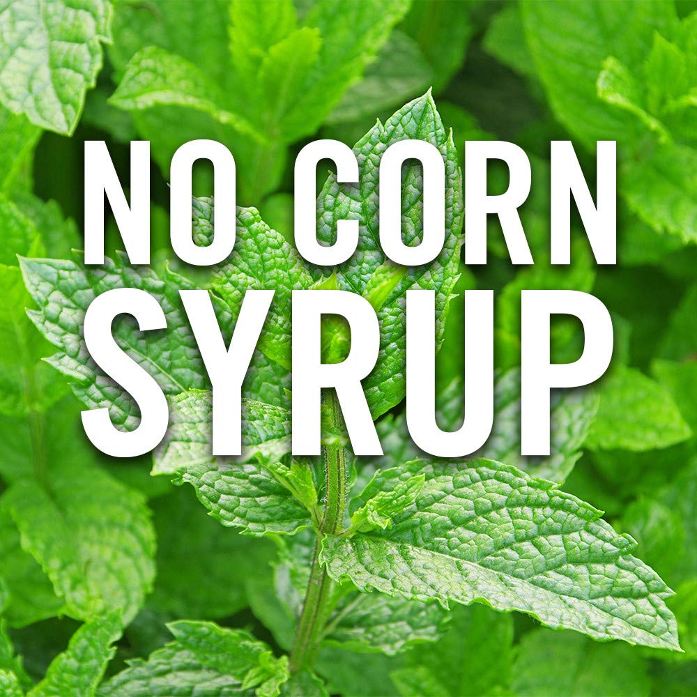 Mccormick Pure Mint Extract, 2 Fl Oz