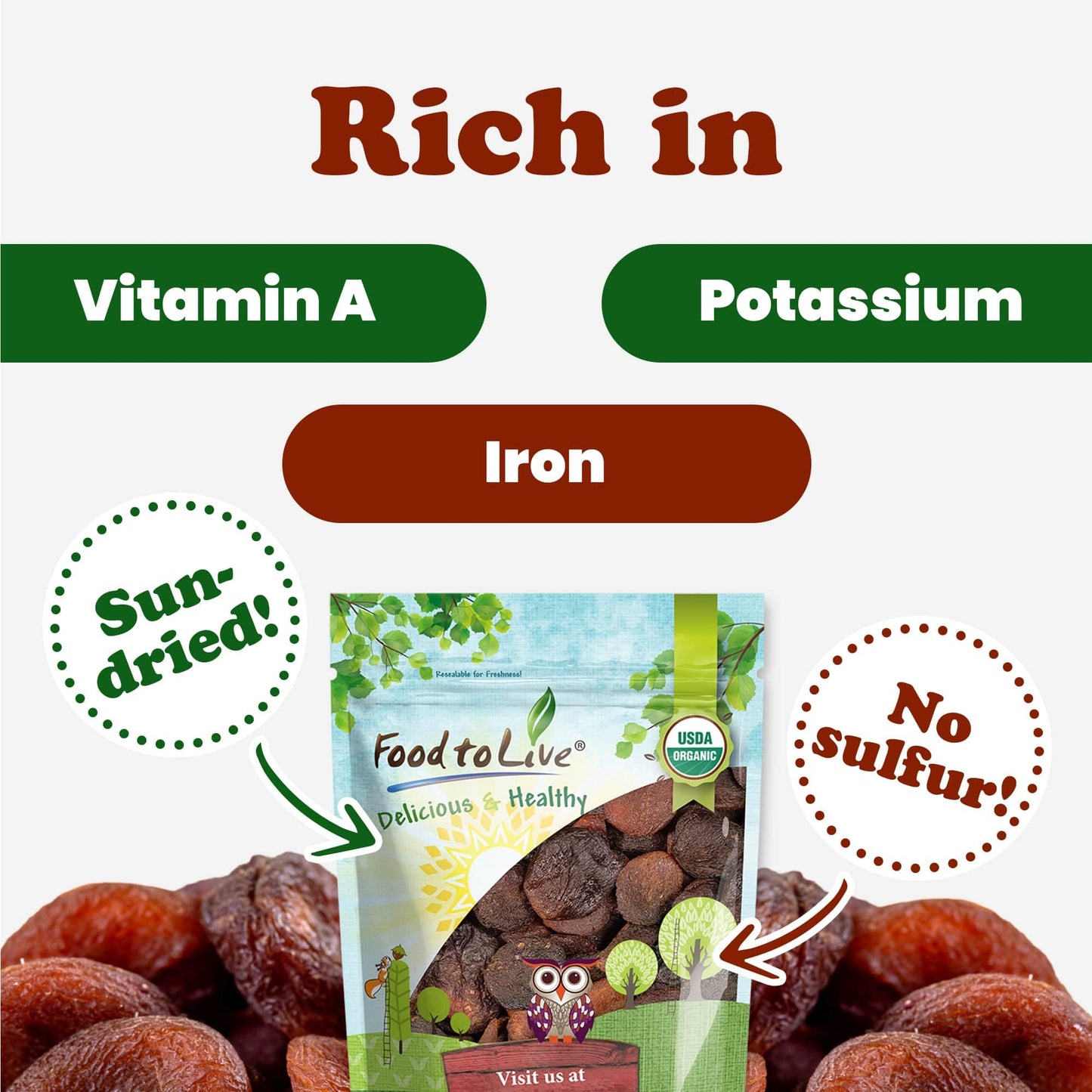 Food to Live Organic Dried Apricots, 8 Ounces - Non-GMO, Kosher, Unsulfured, Raw, Vegan, Bulk