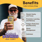 Melting Forest Mushroom D-Stress  Sparkling Adaptogen Drink with L-Theanine  Lions Mane and Vitamin B  Zero Sugar  5 Calories  Coconut Pineapple (12-Pack)