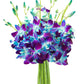 KaBloom Flowers - Exotic Sapphire Orchid Bouquet of Blue Orchids Without Vase - Gift for Birthday  Sympathy  Anniversary  Get Well  Valentine  Mothers Day Fresh Flowers