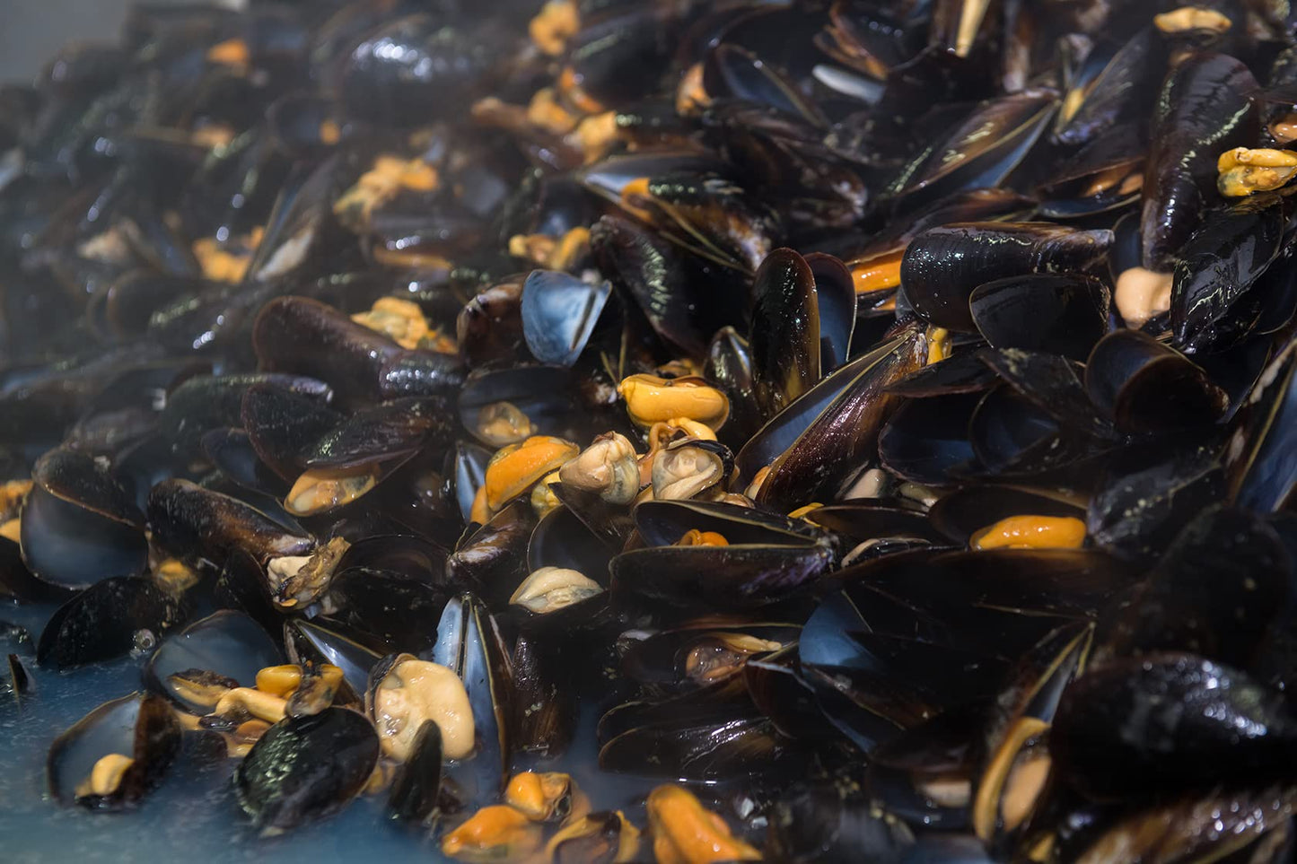 Matiz España Mussels in Extra Virgin Olive Oil & Apple Cider Vinegar, 4 oz. (Pack of 12), Handcrafted in Galicia, Spain