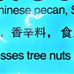 Chacha Roasted Sunflower Seeds Chinese Pecan Flavor, (3 Pack, Total Of 16.92Oz)