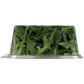 Satur Farms Wild Arugula, 5 oz Clamshell