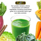 Kin no Aojiru Veggie Blend - 25 Types of Pure Japanese Vegetable Powder Including Young Barley Grass - 3.5g (0.12 oz) Individual