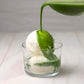SUMIRE Matcha Ceremonial Grade Matcha Powder Made in Japan Kagoshima, Vibrant Green, Smooth, Umami, Antioxidant-Rich, Perfect fo