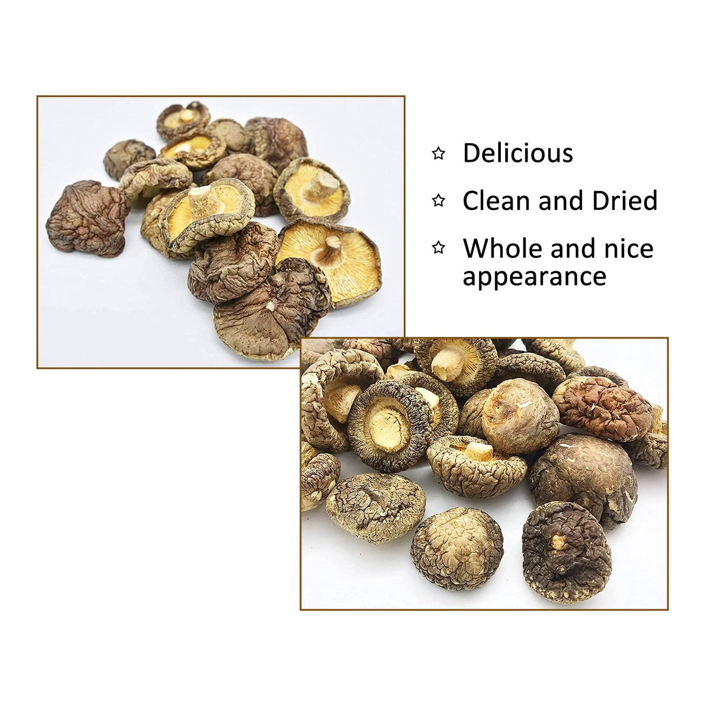 Zestful Foods Dried Shiitake Mushroom, Medium Size, 3-4 Cm, 8 Oz.