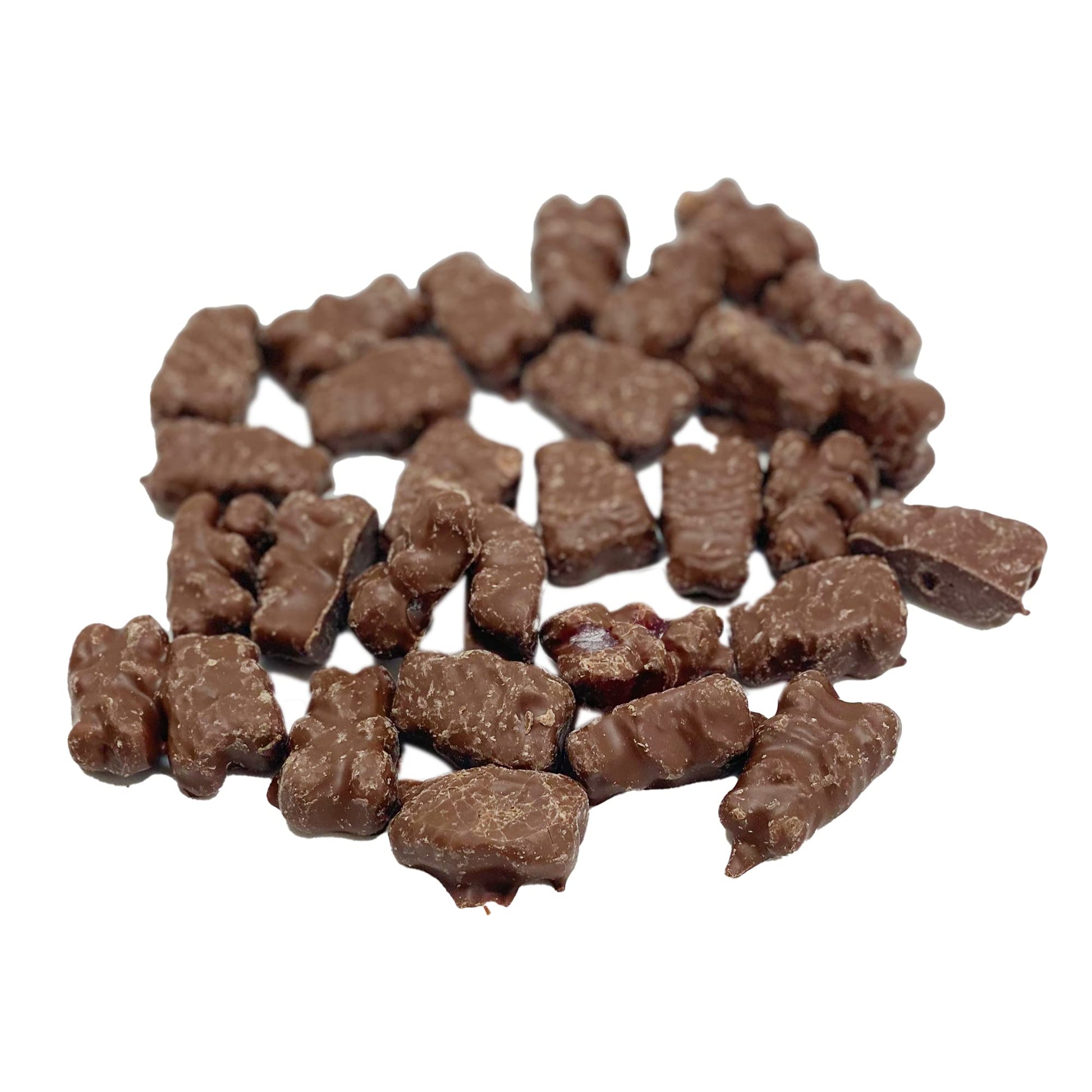 Chocolate Covered Gummi Bears - 1Lb Resealable Stand Up Candy Bag - Milk Chocolate Gummies - Assorted Gummi Flavors - Bulk Party