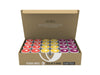 Tea Of A Kind Drink Mix - 24 Caps Variety Pack - For Toak Reusable Bottle (Yerba Mate Variety Pack) Raspberry, Pineapple Coconut
