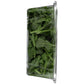 Satur Farms Wild Arugula, 5 oz Clamshell